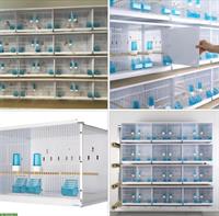 Vogel-Zuchtkäfige, Zuchtboxen, erweiterbar zu Volieren