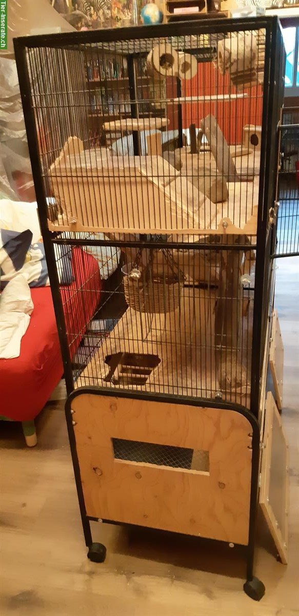 Bild 2: Grosser Nagerkäfig / Voliere mit Zubehör, mittig trennbar