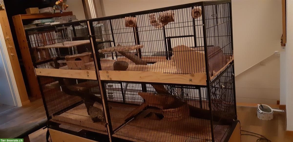 Bild 3: Grosser Nagerkäfig / Voliere mit Zubehör, mittig trennbar
