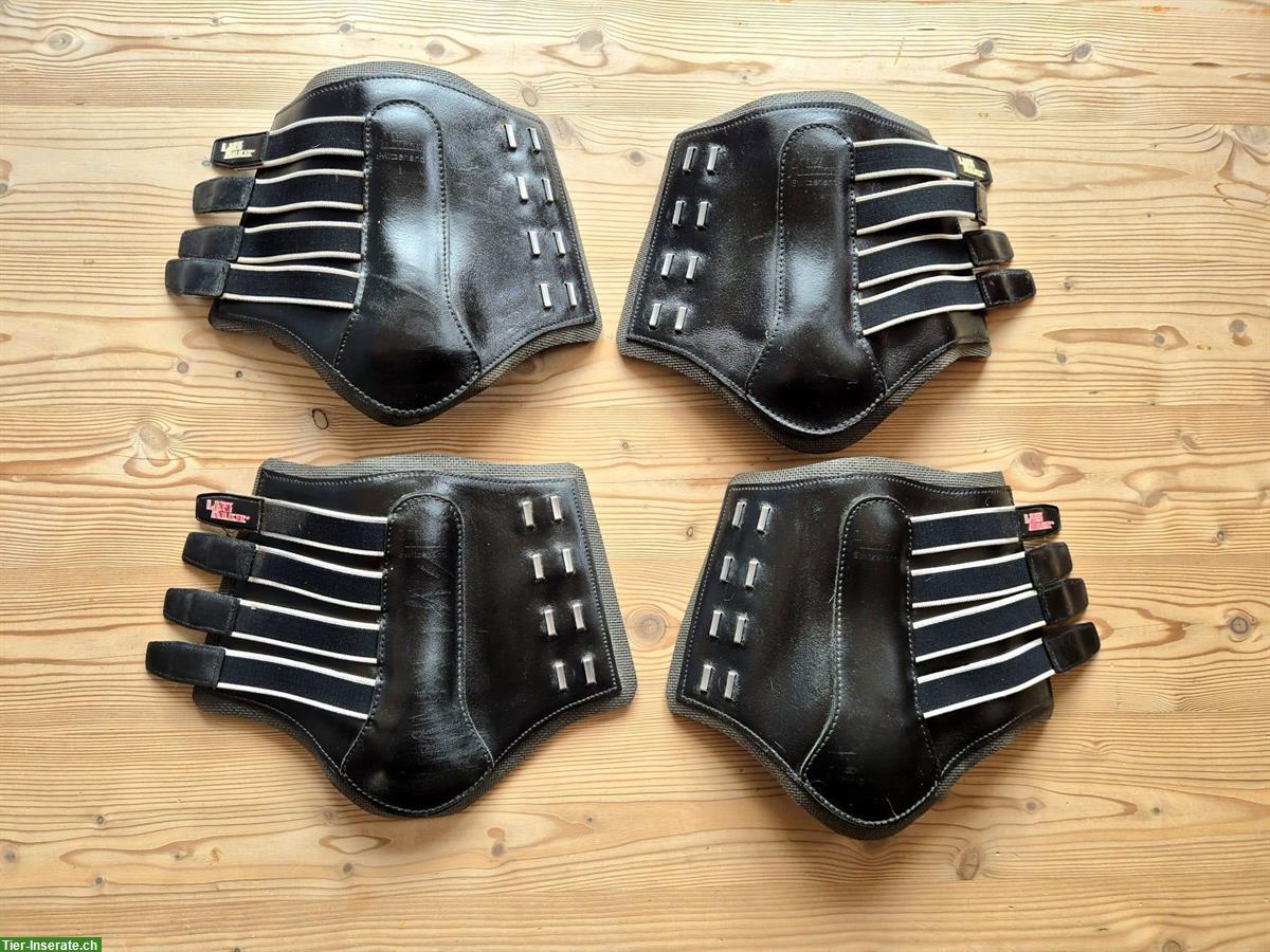 4 Leder-Gamaschen Lanz Anliker, Gr. 1 (Warmblut)