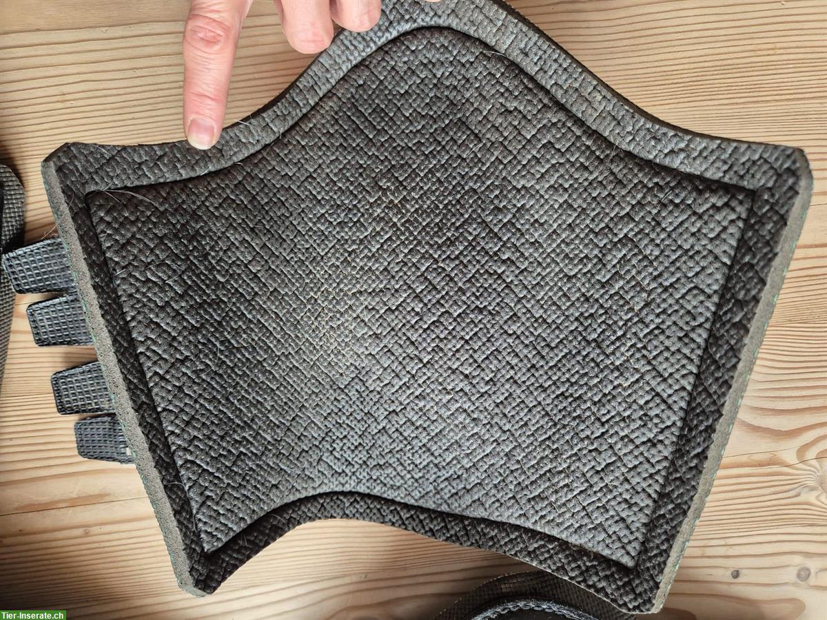 Bild 2: 4 Leder-Gamaschen Lanz Anliker, Gr. 1 (Warmblut)