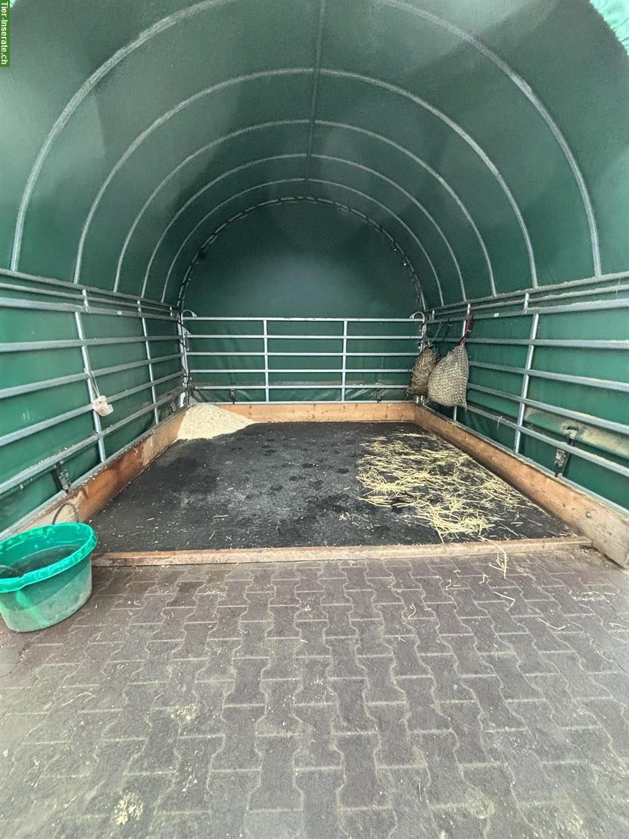 Bild 4: Nachmieter für Offenstall gesucht, 3365 Seeberg BE