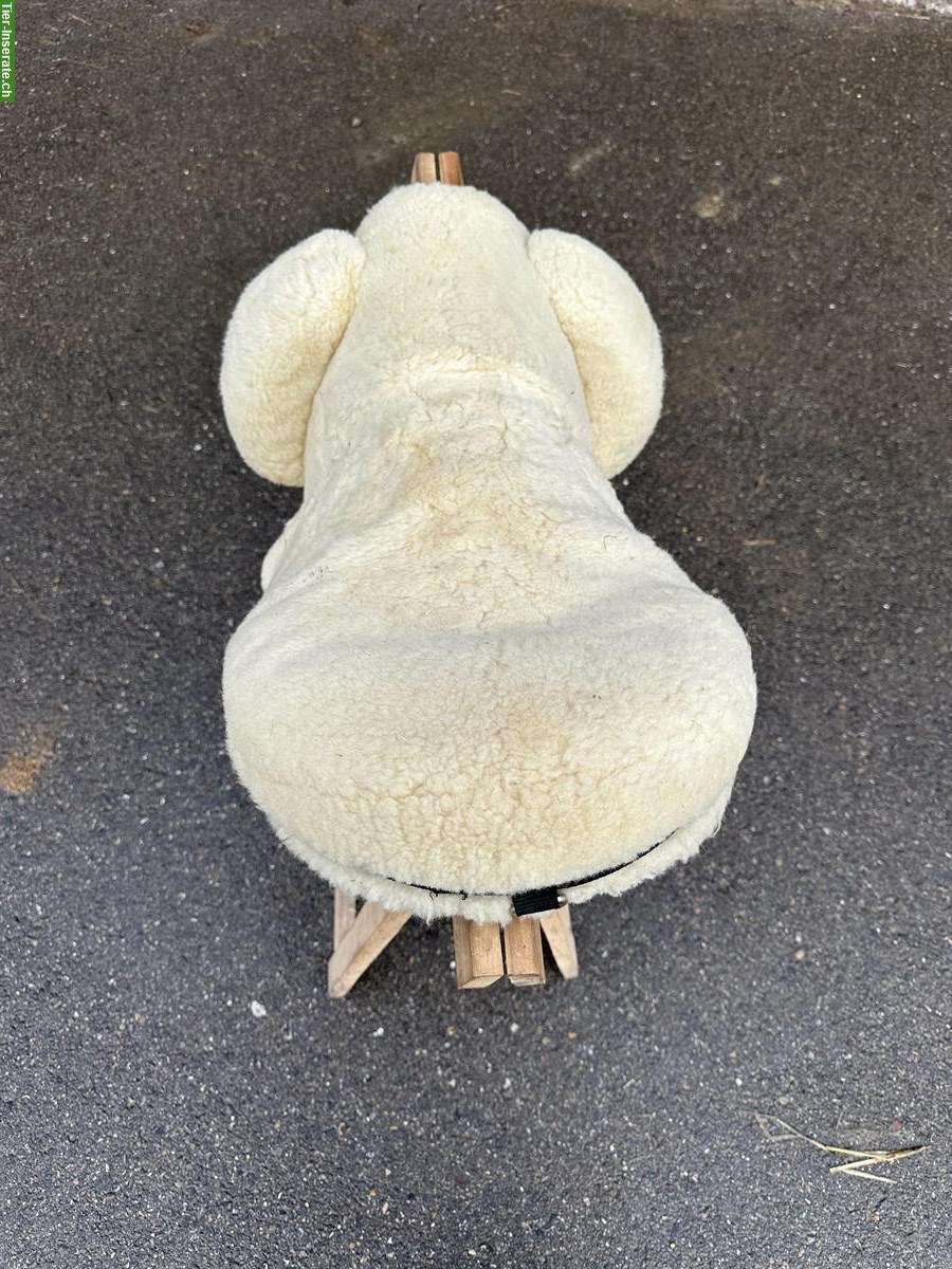 Bild 2: Gebrauchter Christ Fellsattel zu verkaufen