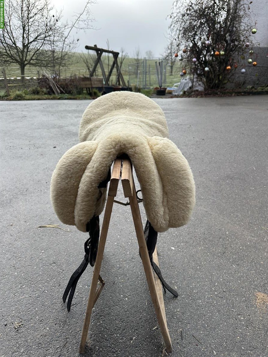 Bild 4: Gebrauchter Christ Fellsattel zu verkaufen