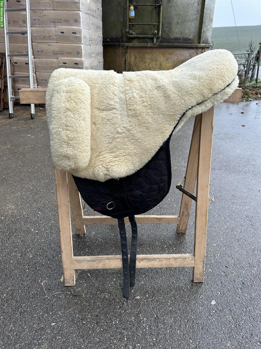 Bild 5: Gebrauchter Christ Fellsattel zu verkaufen