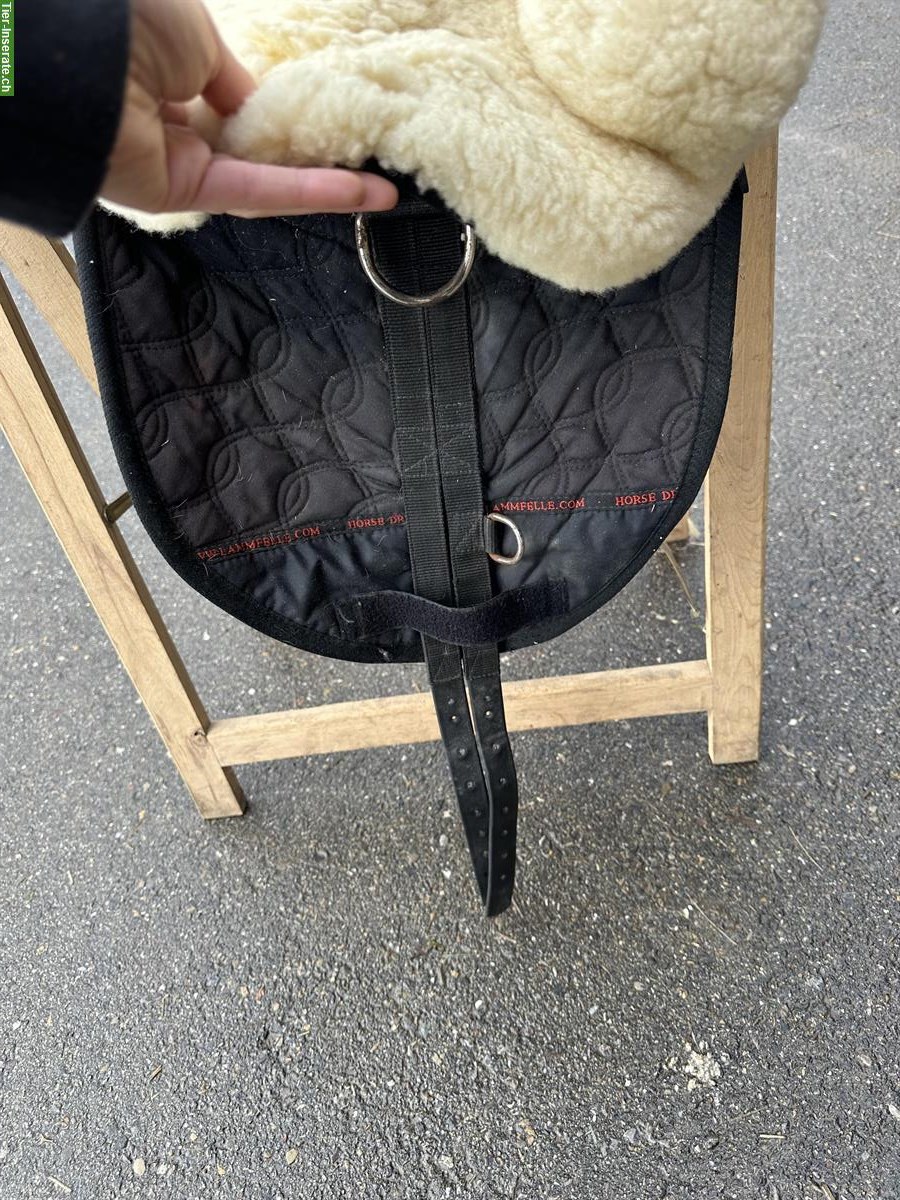 Bild 6: Gebrauchter Christ Fellsattel zu verkaufen