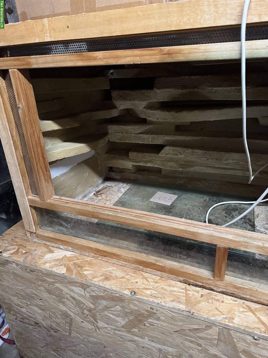 Occasion Holzterrarium zu verkaufen