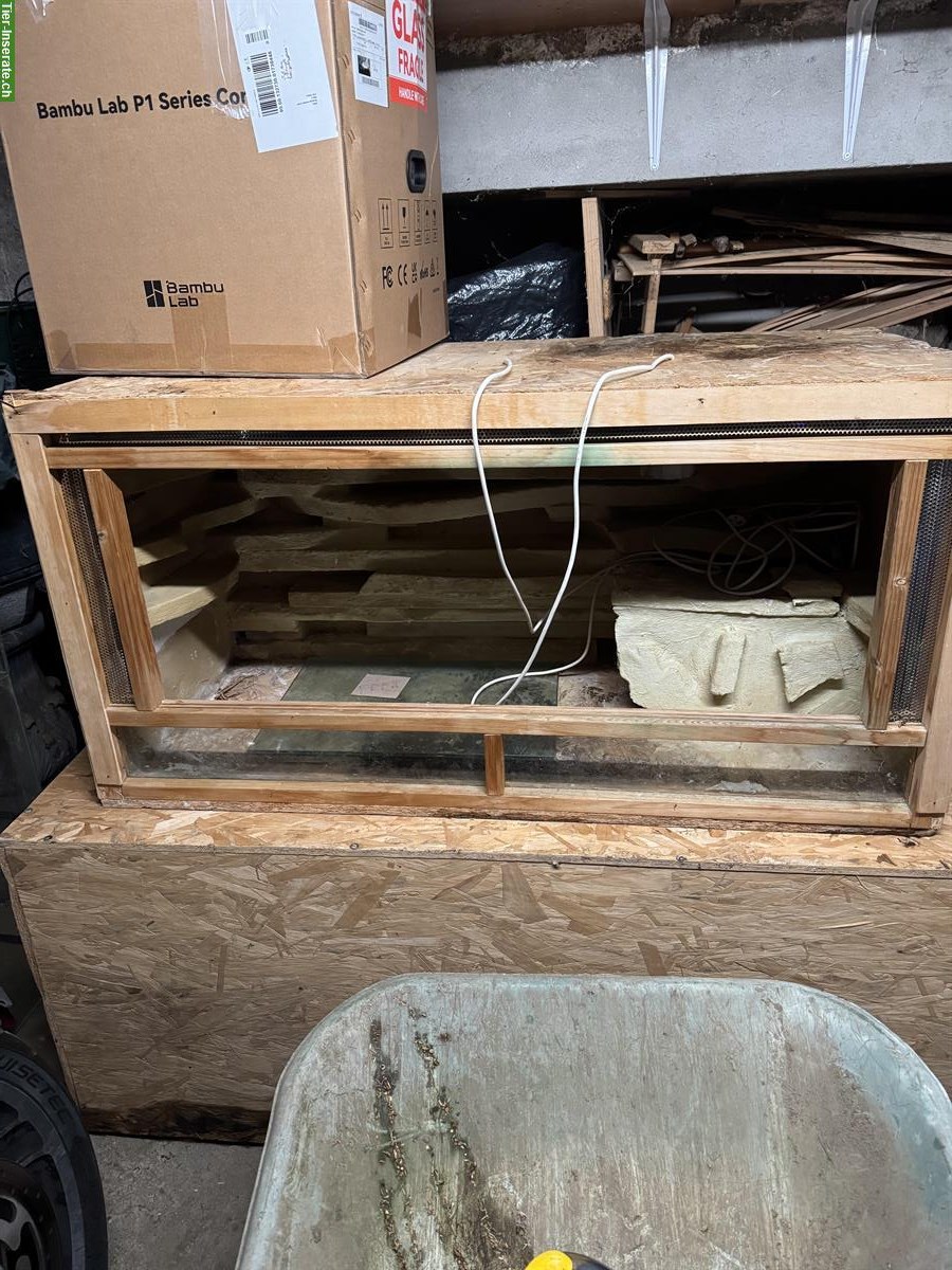 Bild 2: Occasion Holzterrarium zu verkaufen