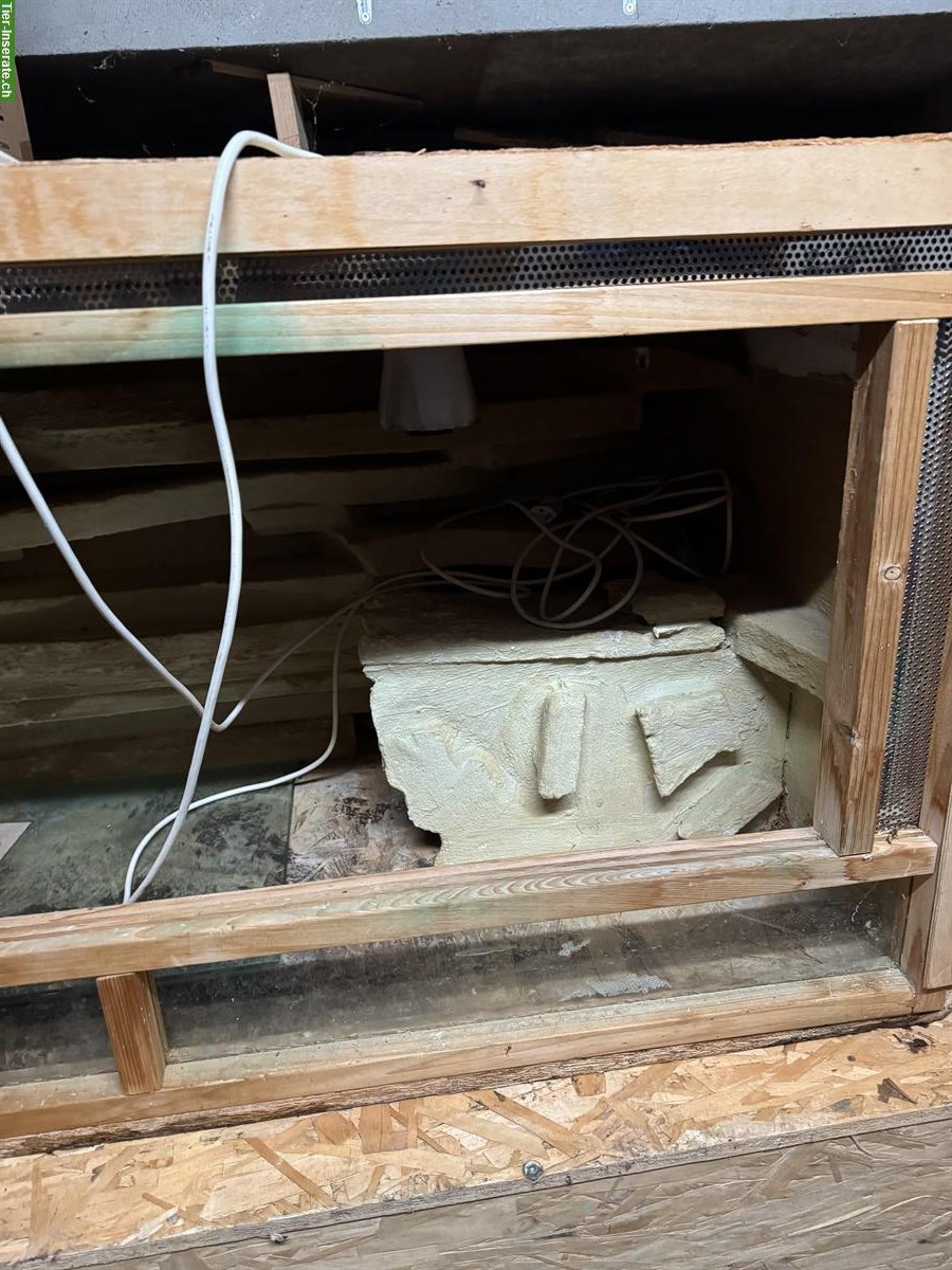 Bild 3: Occasion Holzterrarium zu verkaufen