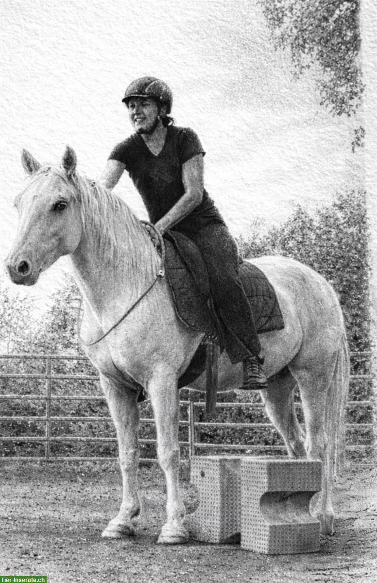 Freier Berittplatz für Pferde in Merzlingen BE