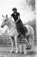 Freier Berittplatz für Pferde in Merzlingen BE