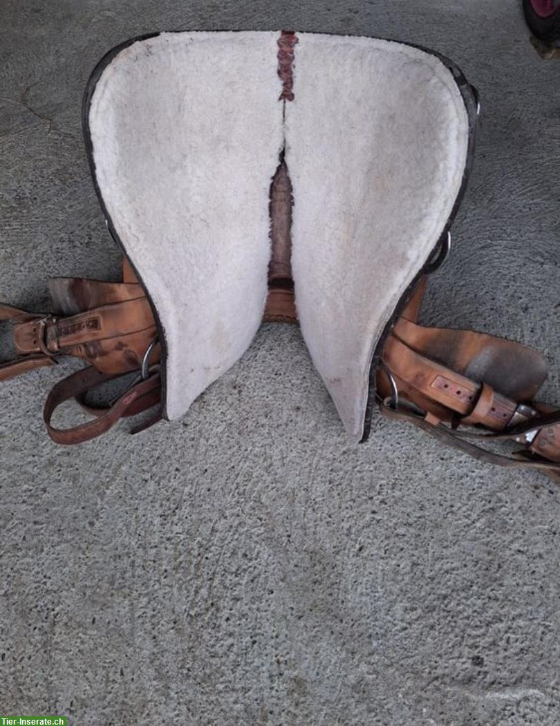 Bild 3: Bequemer Western­sattel mit Filzpad zu verkaufen
