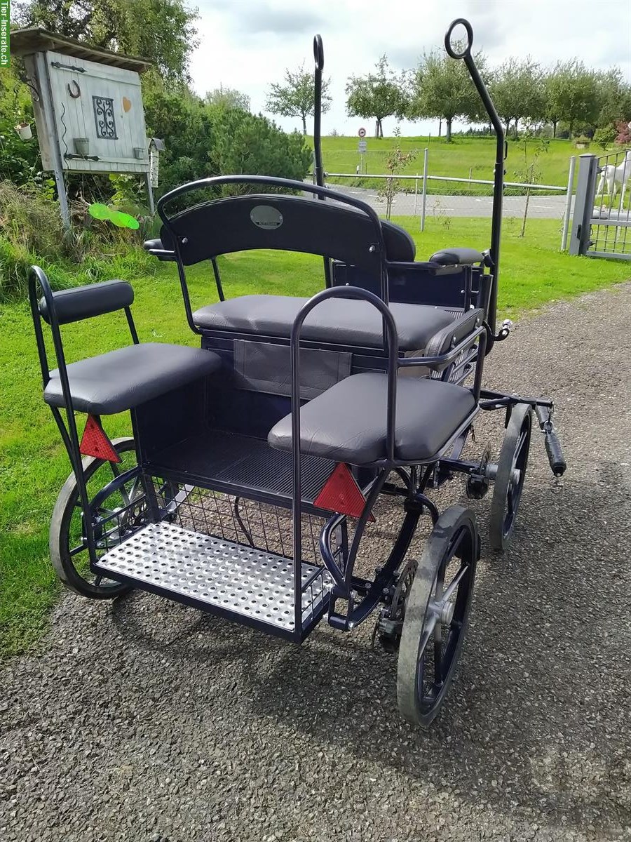 Bild 2: Shetty-Pony-Kutsche, Ein‑/Zwei‑/Dreispänner