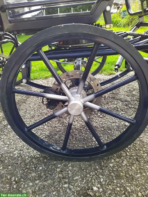 Bild 3: Shetty-Pony-Kutsche, Ein‑/Zwei‑/Dreispänner