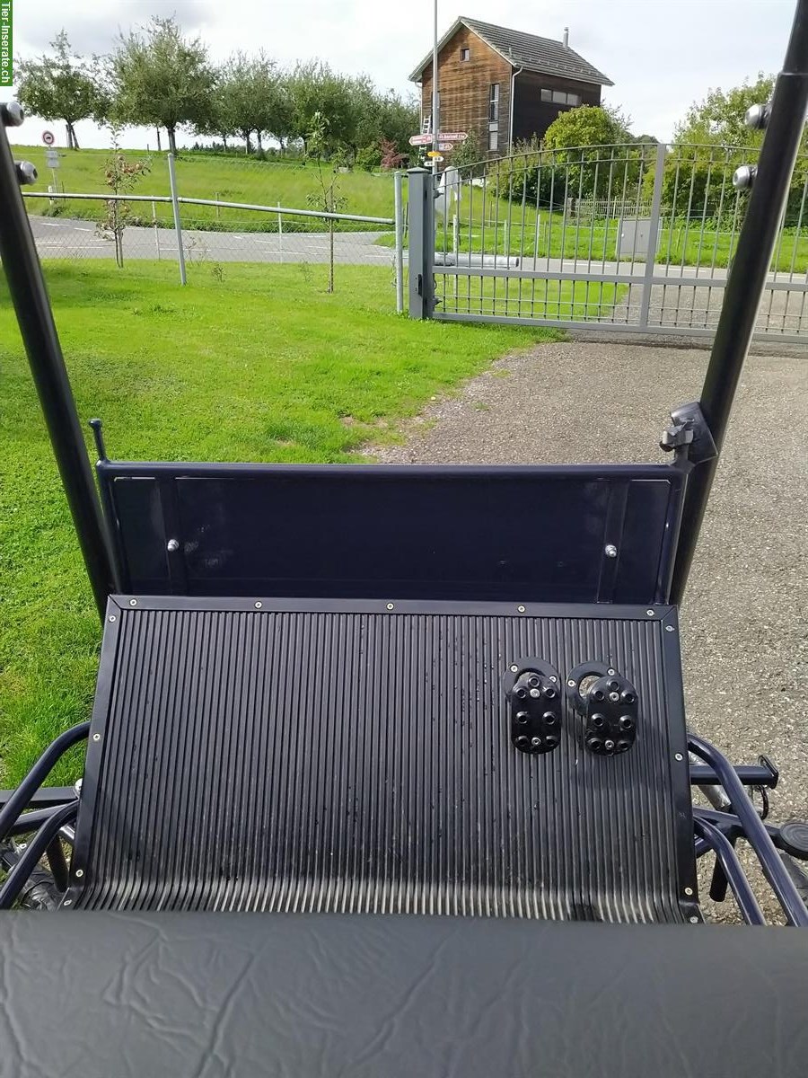 Bild 4: Shetty-Pony-Kutsche, Ein‑/Zwei‑/Dreispänner