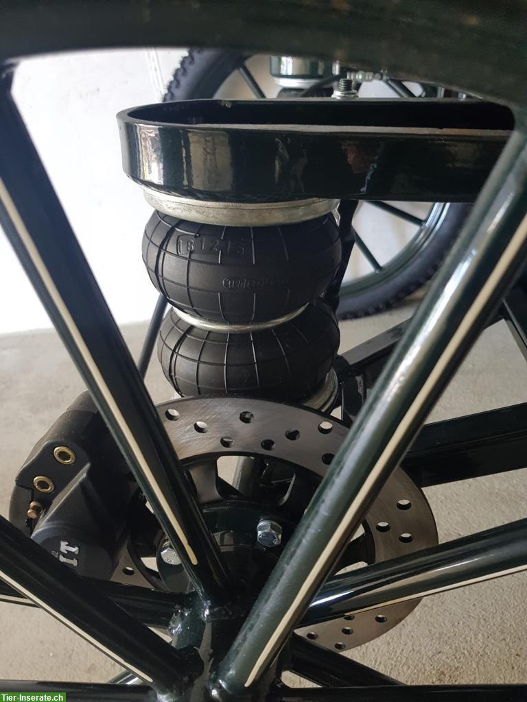 Bild 3: Pferdekutsche zu verkaufen, einspännig