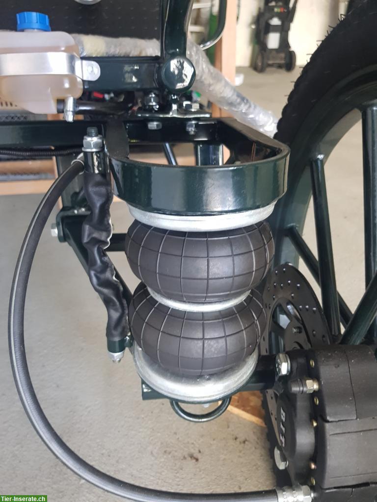 Bild 4: Pferdekutsche zu verkaufen, einspännig