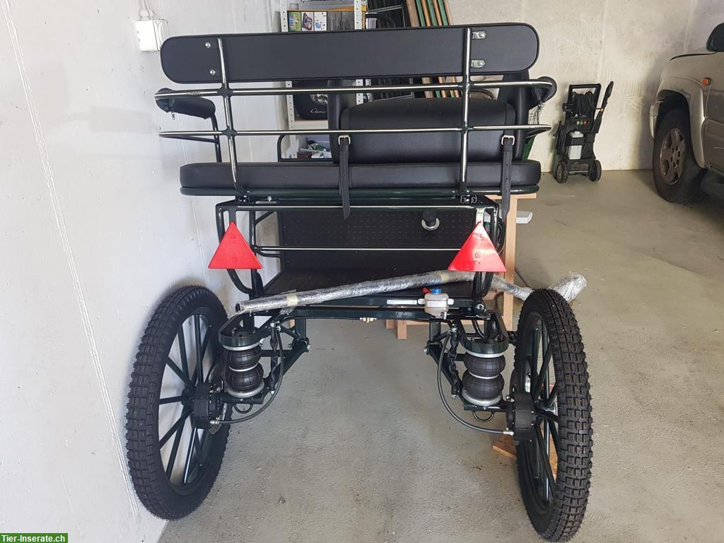 Bild 5: Pferdekutsche zu verkaufen, einspännig