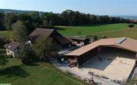 Pferdepension: 2 Auslaufboxen frei in Muri AG