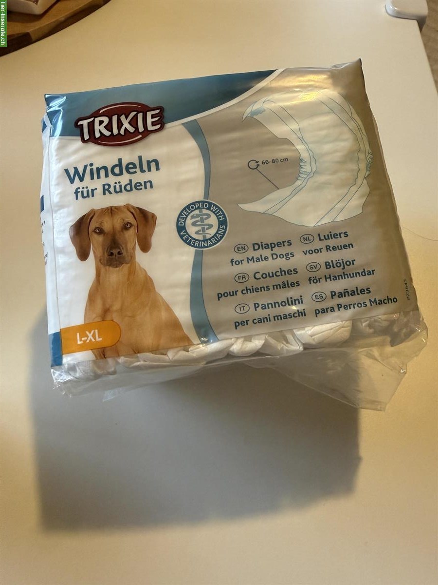 Hundewindeln für Rüden L-XL zu verkaufen