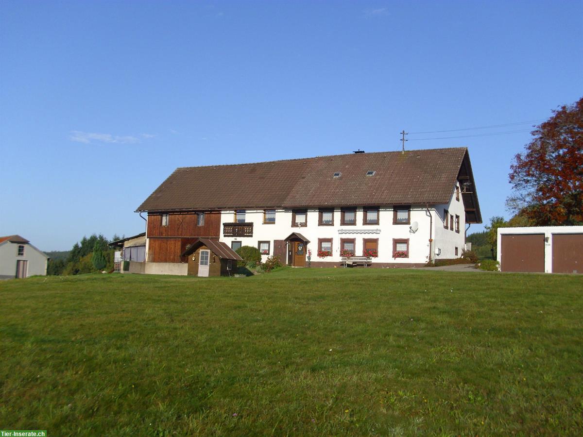 Bauernhaus Liegenschaft in Hochrhein, Deutschland