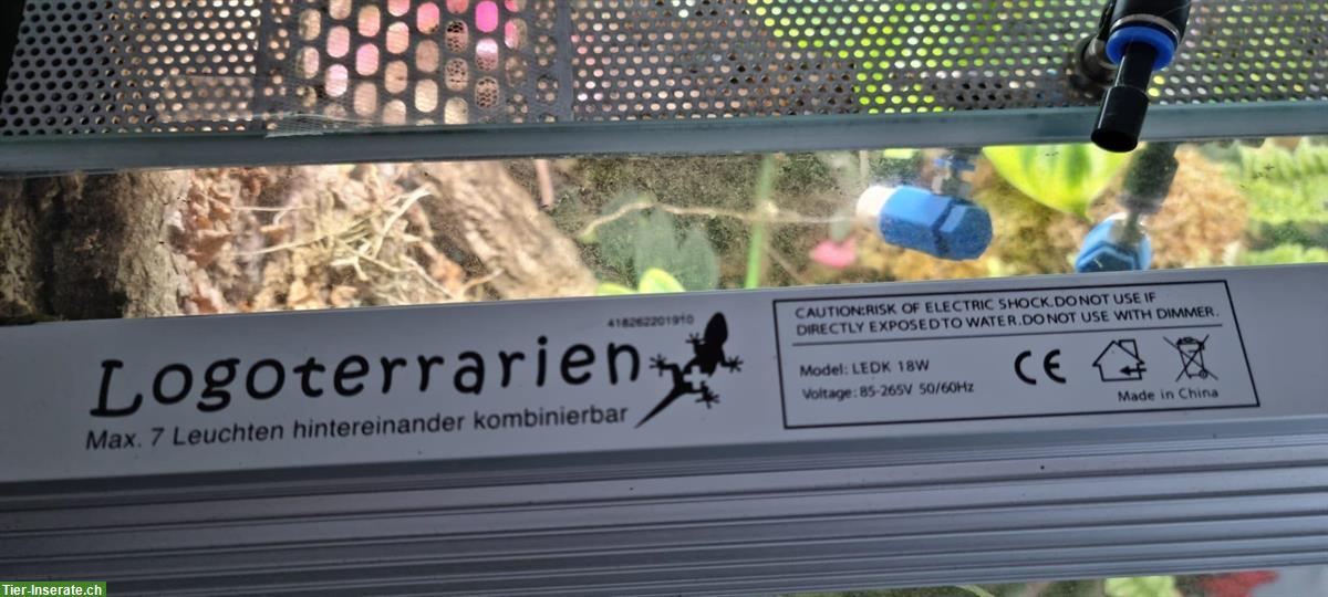 Bild 5: Dendrobaten Terrarium 50x40x80cm von Logoterrarien