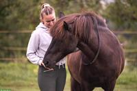 Zum Pferdemenschen werden