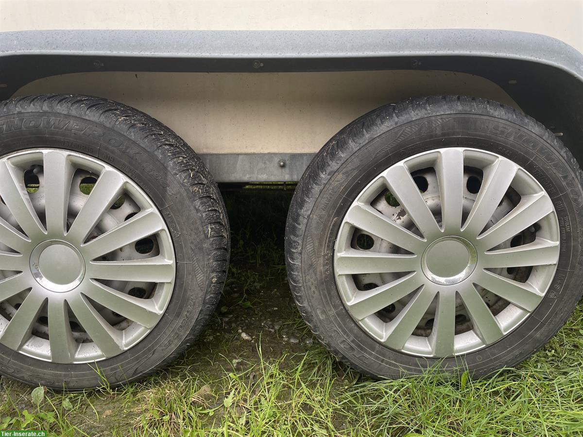 Bild 4: Hofer 1,5er Pferdeanhänger PT 135 zu verkaufen