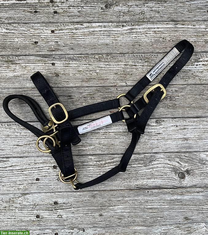 Monty Roberts Trainingshalfter, Grösse Cob