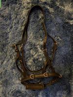 SABRO Kappzaum Gr. Warmblut