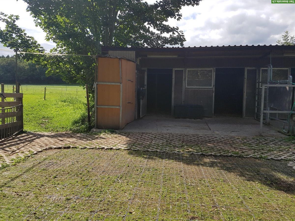 Bild 2: Doppelauslaufboxe frei für 1-2 Pferde in 5036 Oberentfelden AG