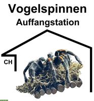 Vogelspinnen Auffangstation/Gnadenhof | Schweiz