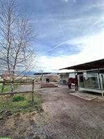 1 Platz frei in Selbstversorgerstall, Hünenberg LU