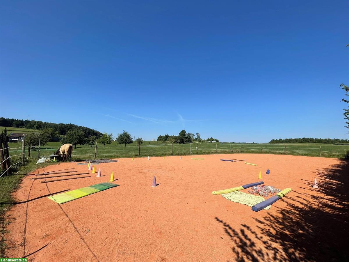 Bild 6: 1 Platz frei in Selbstversorgerstall, Hünenberg LU