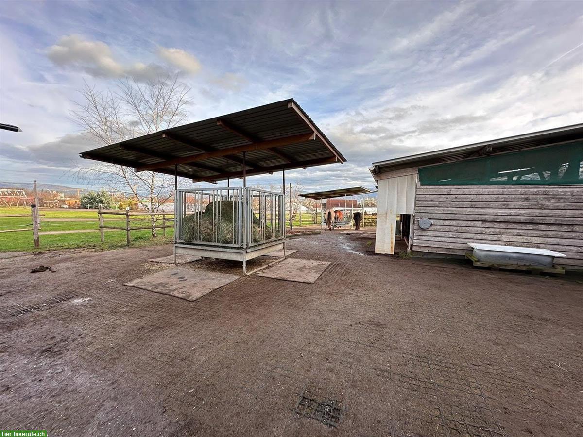 Bild 8: 1 Platz frei in Selbstversorgerstall, Hünenberg LU