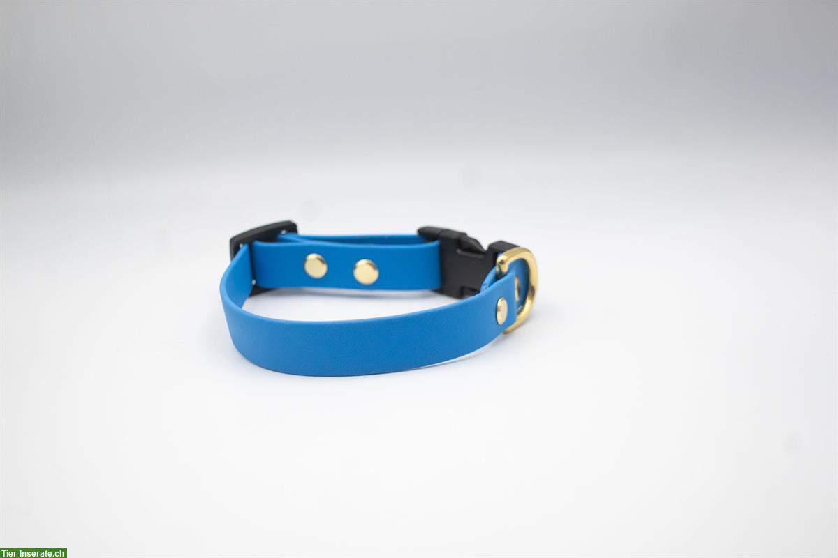 Biothane Hundehalsband (blau) zu verkaufen