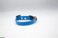 Biothane Hundehalsband (blau) zu verkaufen