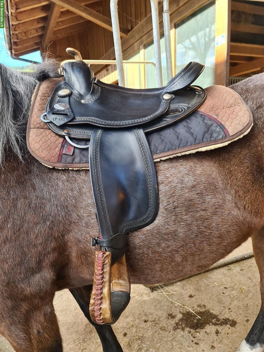 Bild 4: Deuber & Partner Westernsattel 15 Zoll sucht neues Pferd