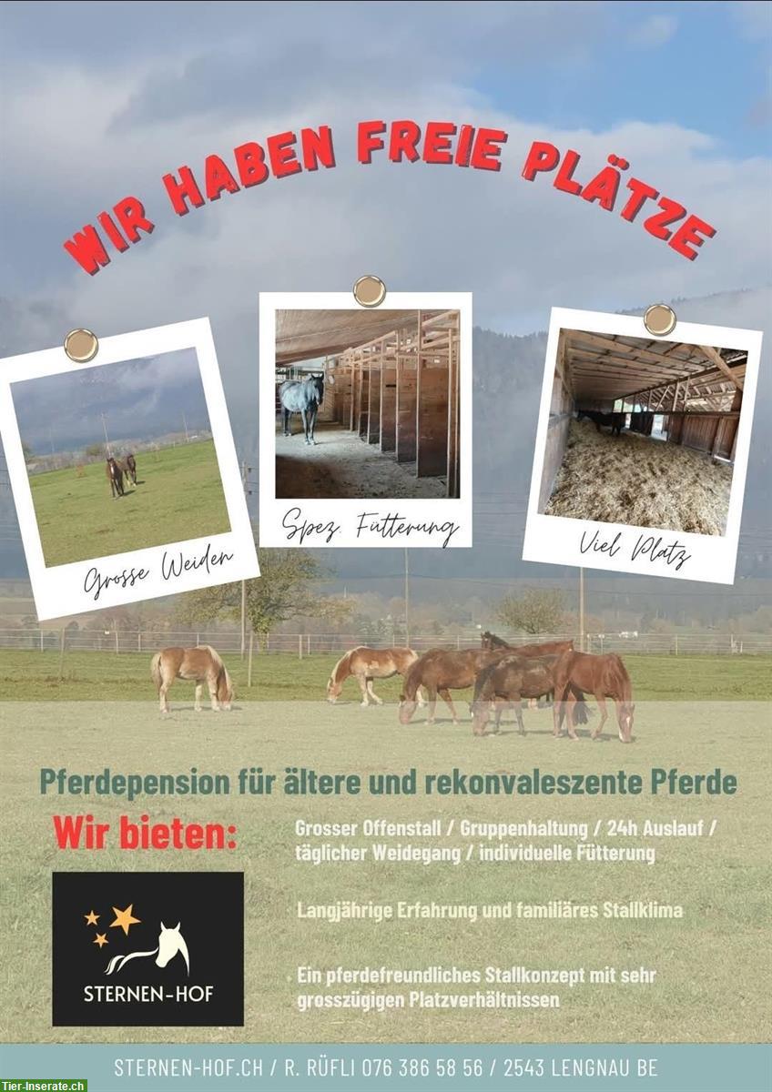 Wo Pferde ihren Ruhestand geniessen... Lengnau BE