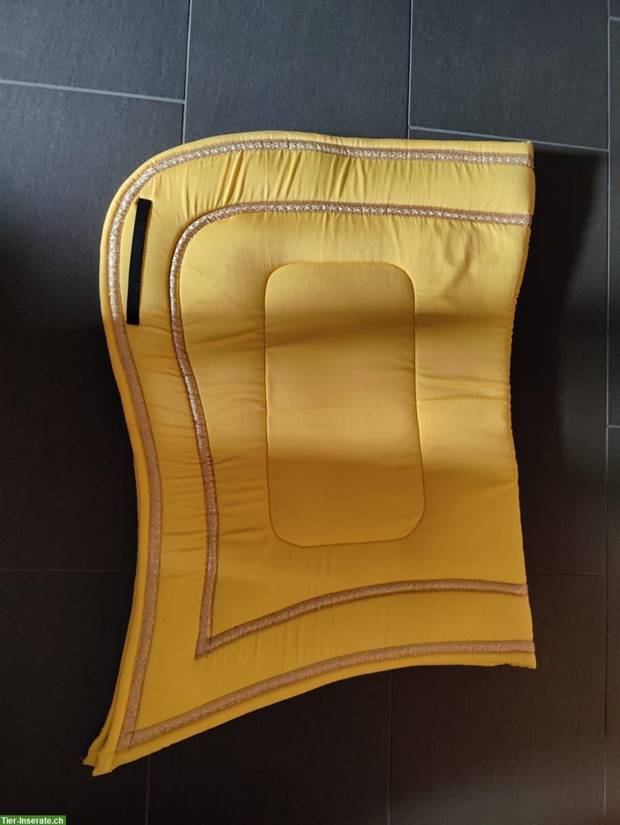 Bild 4: Sattelkurzgurten/Schabraken Passier Flexipad+Barock/Wintec Webbers