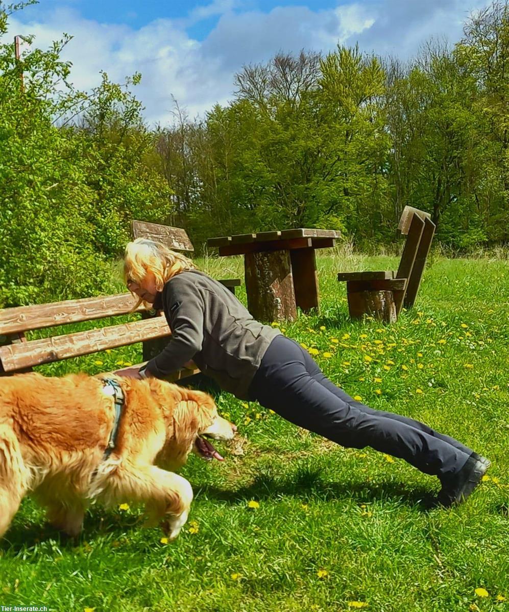 Bild 2: Kleiner Hof mit Stall gesucht in Schweiz