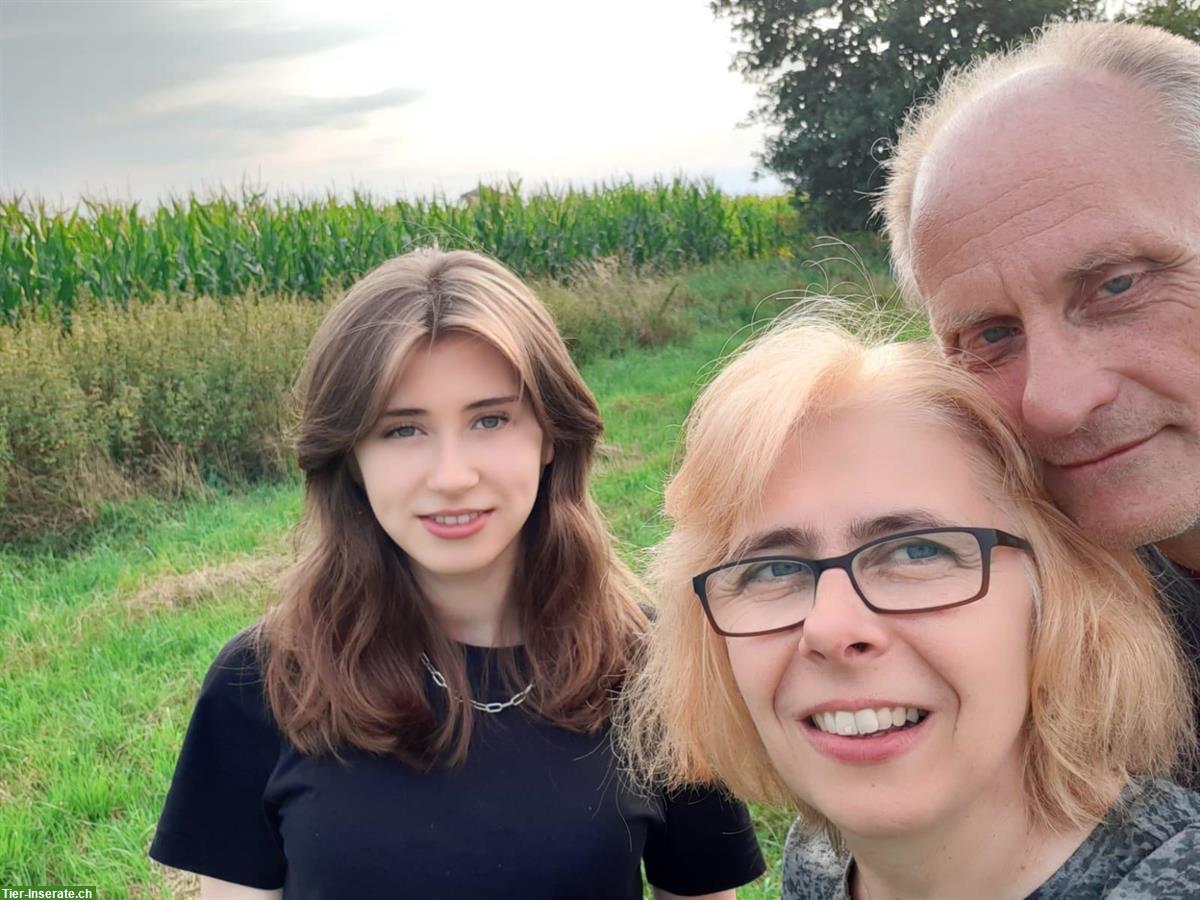 Bild 3: Kleiner Hof mit Stall gesucht in Schweiz