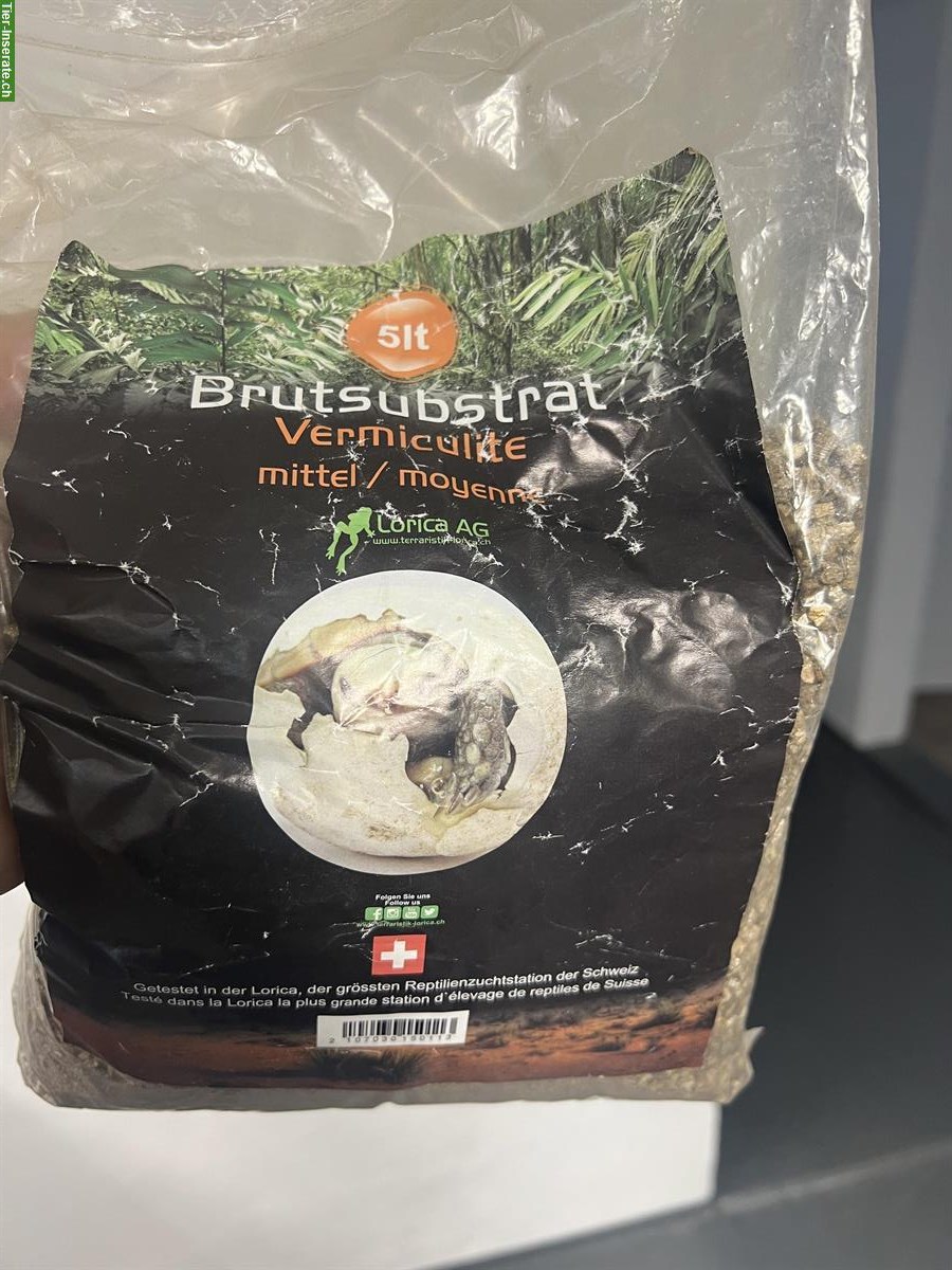 Diverses Reptilien Zubehör günstig zu verkaufen