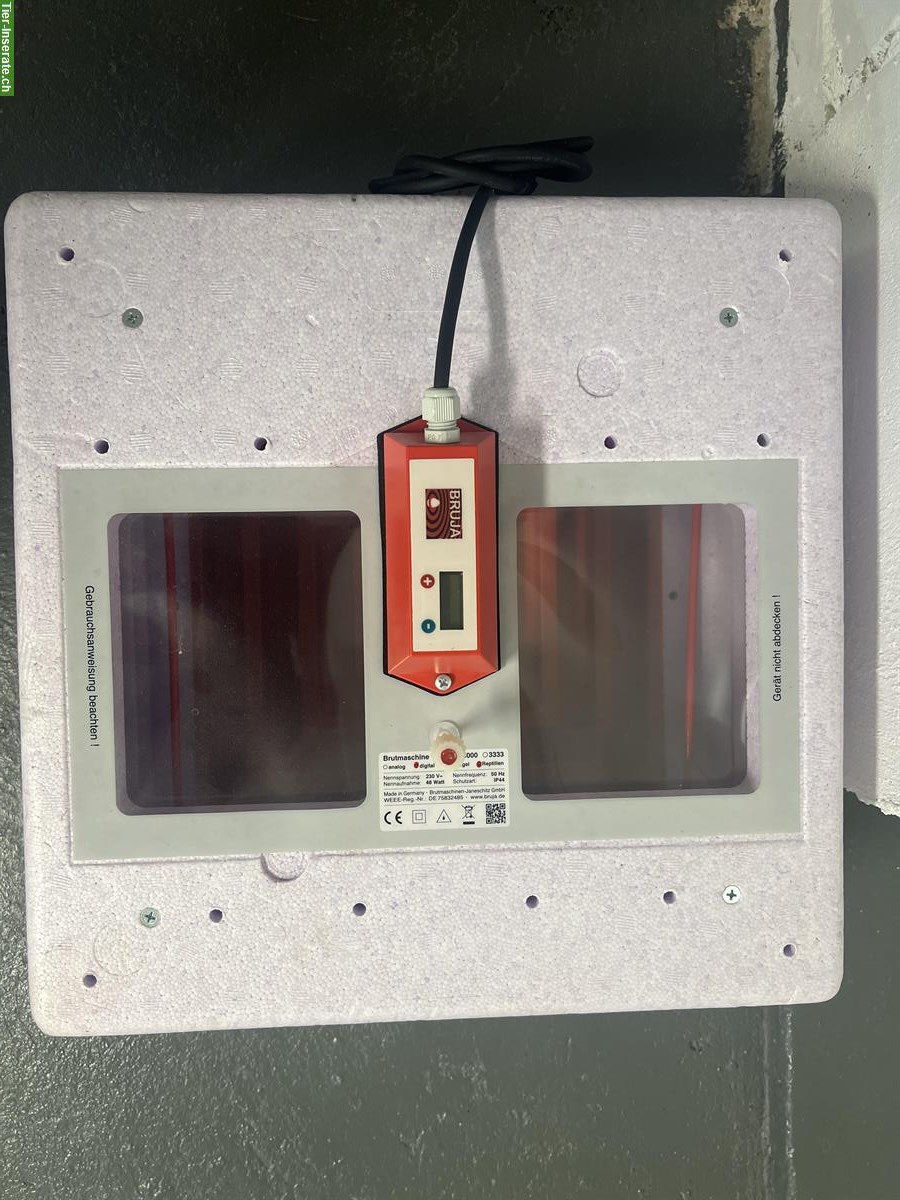 Bild 2: Diverses Reptilien Zubehör günstig zu verkaufen