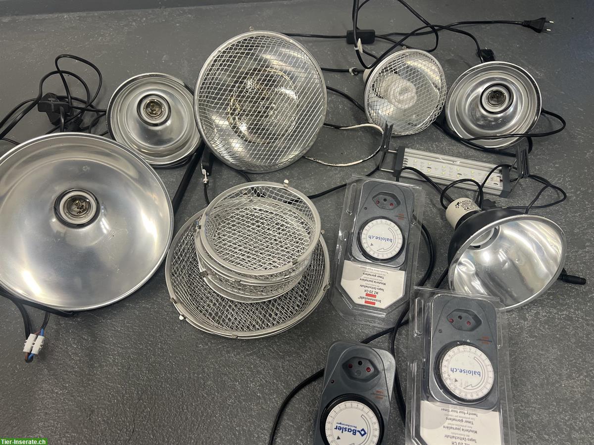 Bild 4: Diverses Reptilien Zubehör günstig zu verkaufen