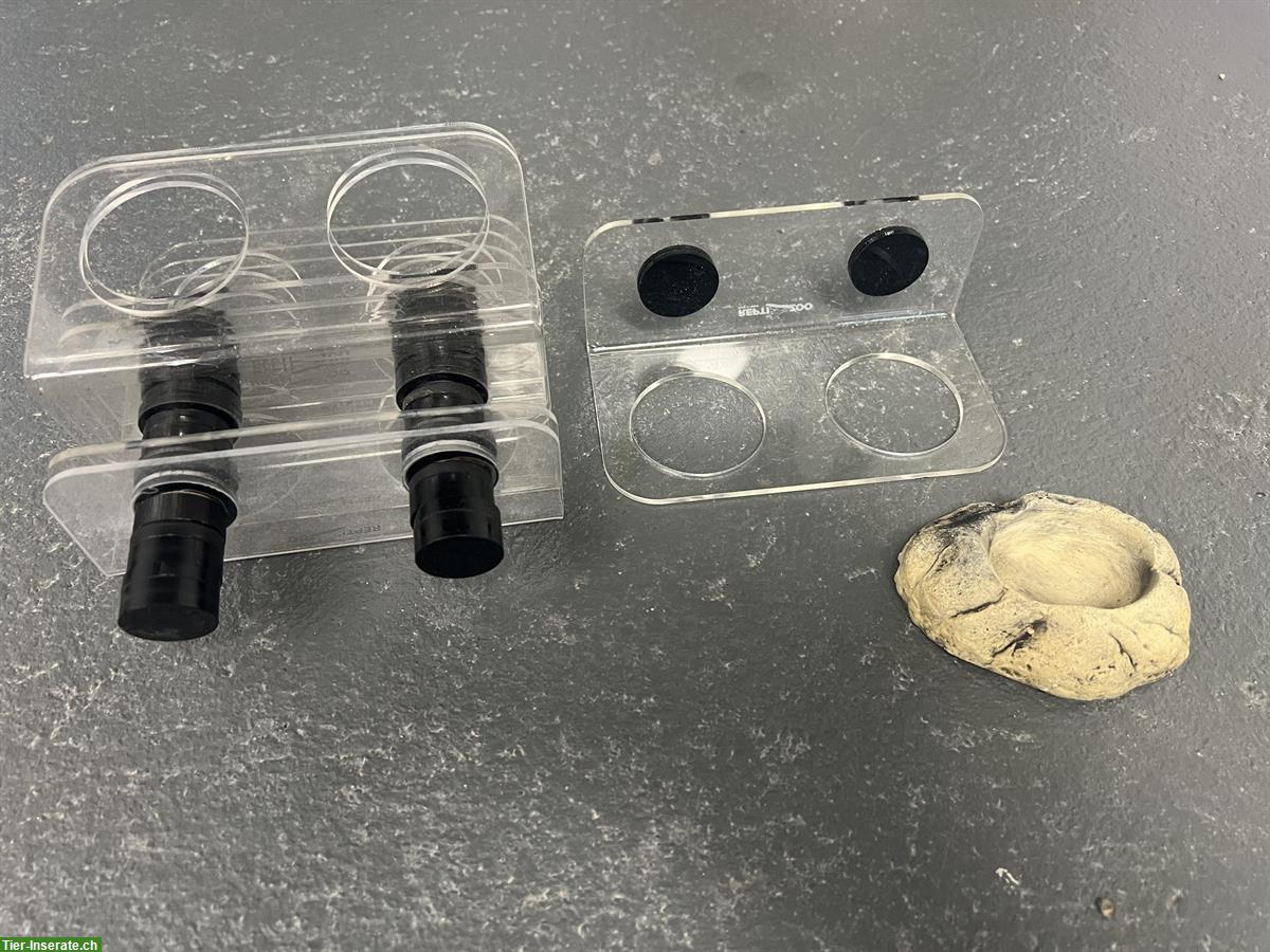 Bild 5: Diverses Reptilien Zubehör günstig zu verkaufen