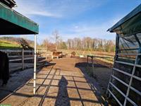 Pferdeboxe mit Auslauf frei ab Ende Januar 2026, Horw LU