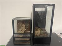 2 Hochterrarien (Glasterrarien) zu verkaufen
