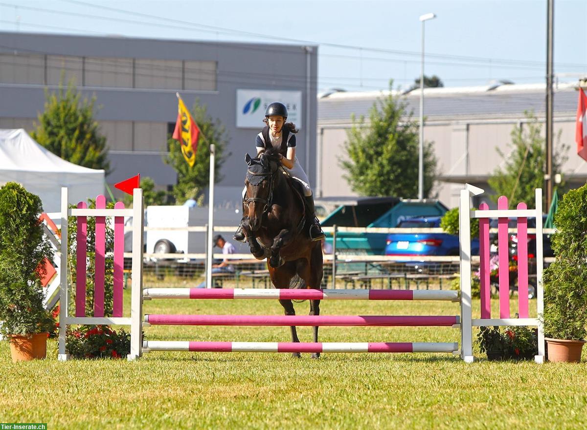 Bild 4: Praktikumsstelle auf Reithof, 60-100%, Nähe Langenthal/Huttwil