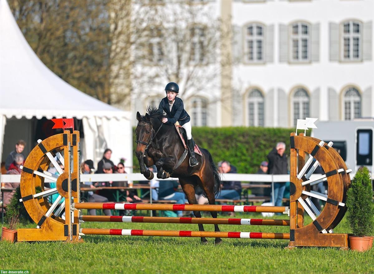 Bild 5: Praktikumsstelle auf Reithof, 60-100%, Nähe Langenthal/Huttwil